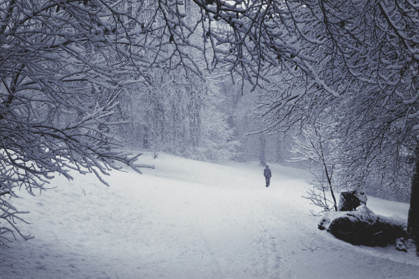 chodzenie zwiedzanie drzewo zima zimowy samotnosc