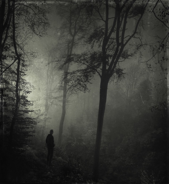 czlowiek stojacy w ponurym lesie