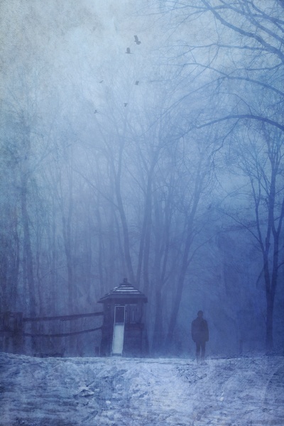niemcy, człowiek, spacerujący, po, zimowym, lesie - 29114812