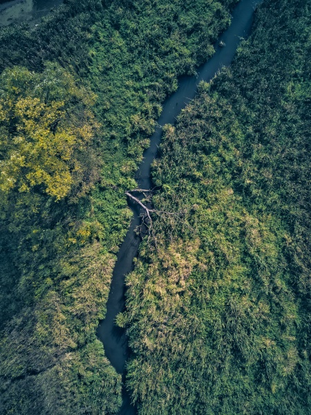 strumien plynacy przez zielony krajobraz